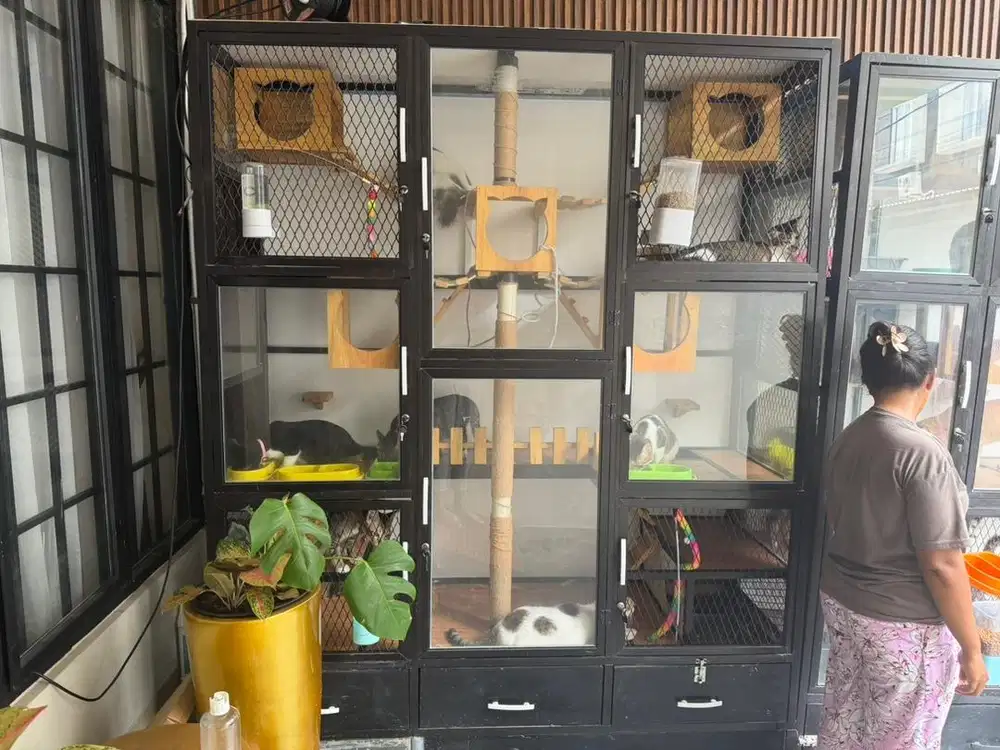 DIJUAL KANDANG KUCING