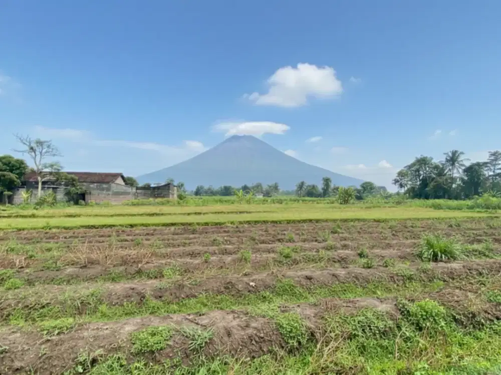 Tanah SHM Sleman Utara Masjid Suciati View Sawah & Gunung, Bisa Cash Tempo