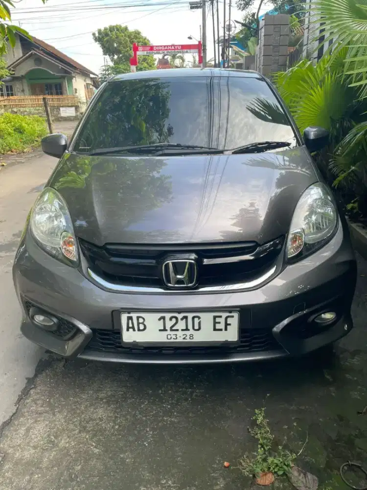 Brio Satya E Manual 2017