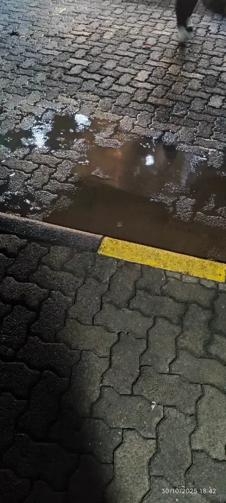 Dibutuhkan pengasuh anak 3 tahun