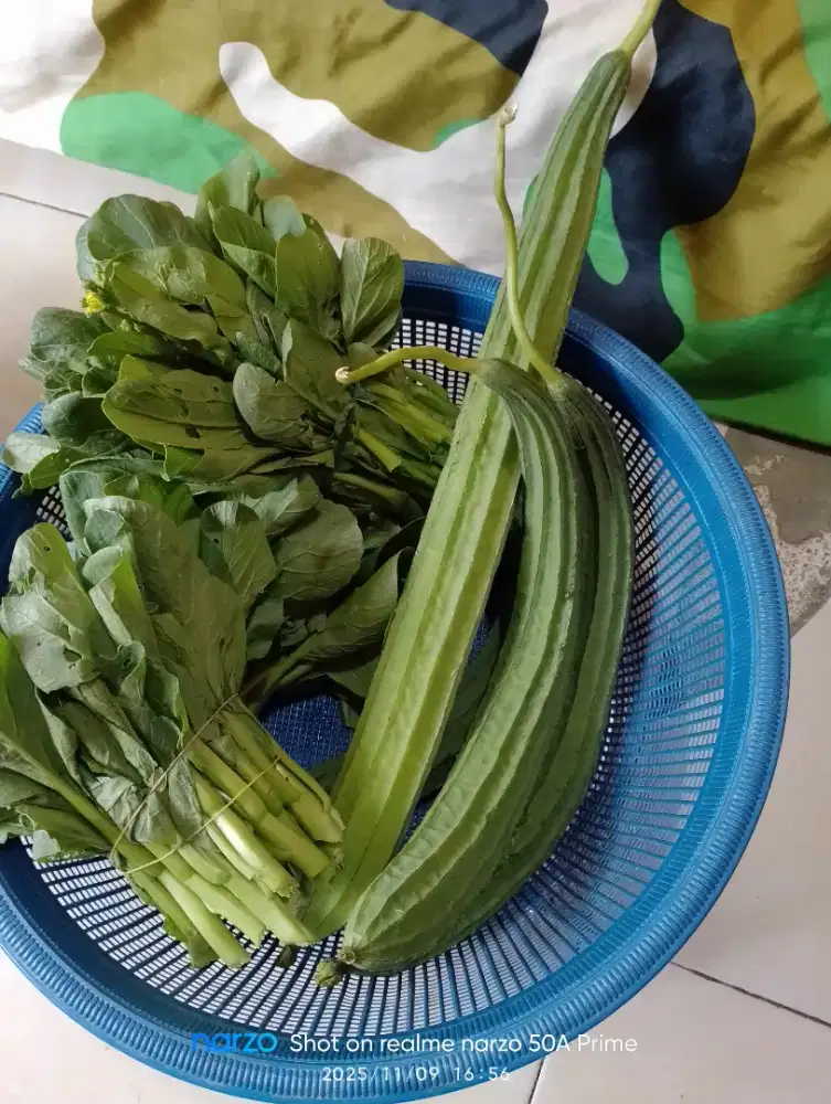 Cari kerja freelance