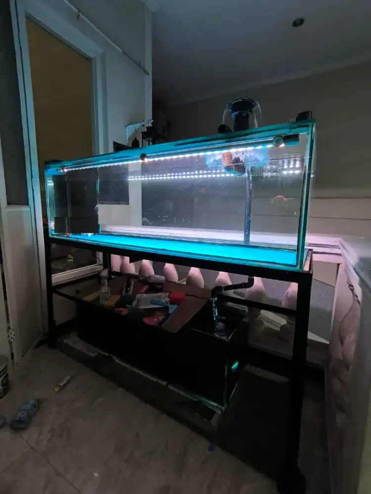 Aquarium surabaya murah