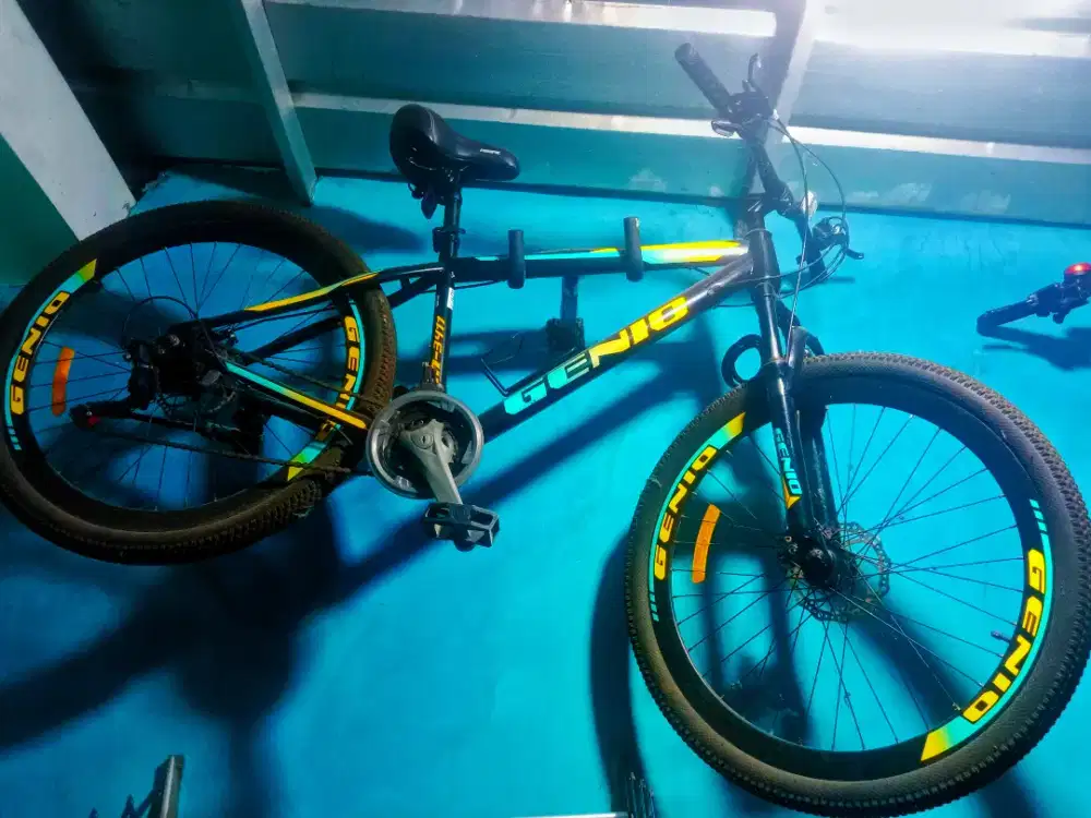 Dijual dengan kondisi apa adanya