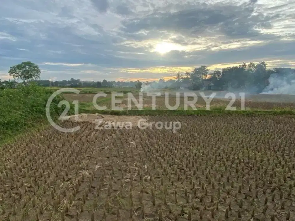 Tanah Padat Area Pesawahan Lokasi Strategis Di Legok Tangerang