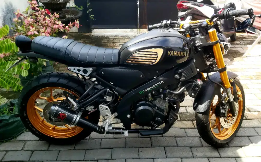 Yamaha XSR Black Gold 2023