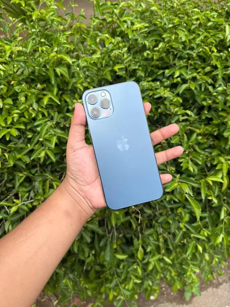 iphone 12promax 128gb blue