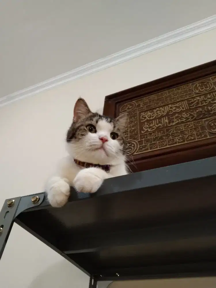 Kaligrafy ukiran kayu jati