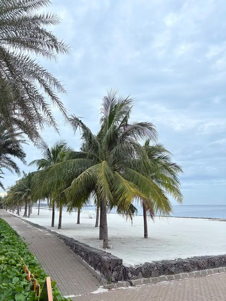 Dibutuhkan ART perempuan