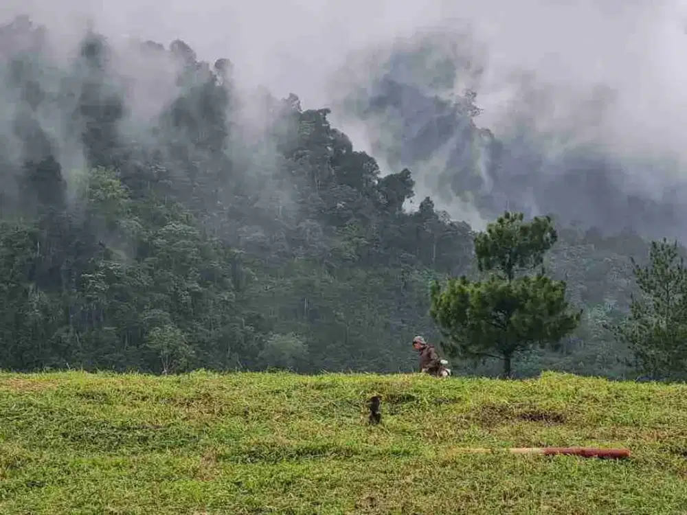 kavling murah view pegunungan Deket wisata dan resort