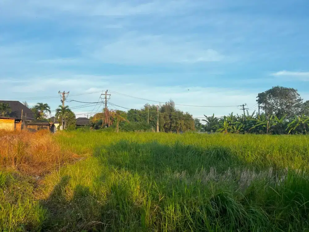 Land for sale in Mengwi, Bali