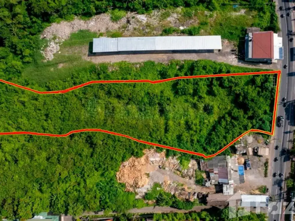 Land for sale in Canggu, Bali