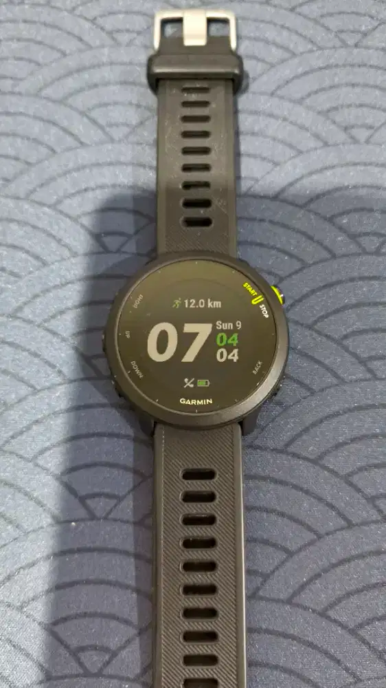 Garmin Forerunner 55 Black Original TAM