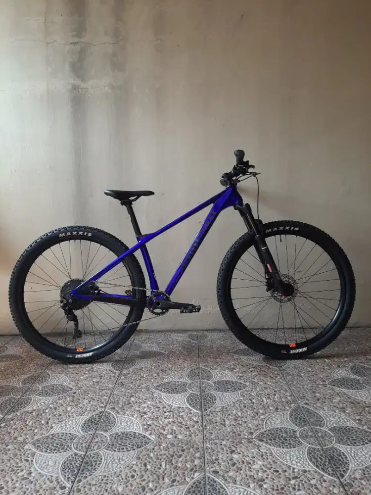 Sepeda MTB Carbon DOMINATE CXC Elite Like new