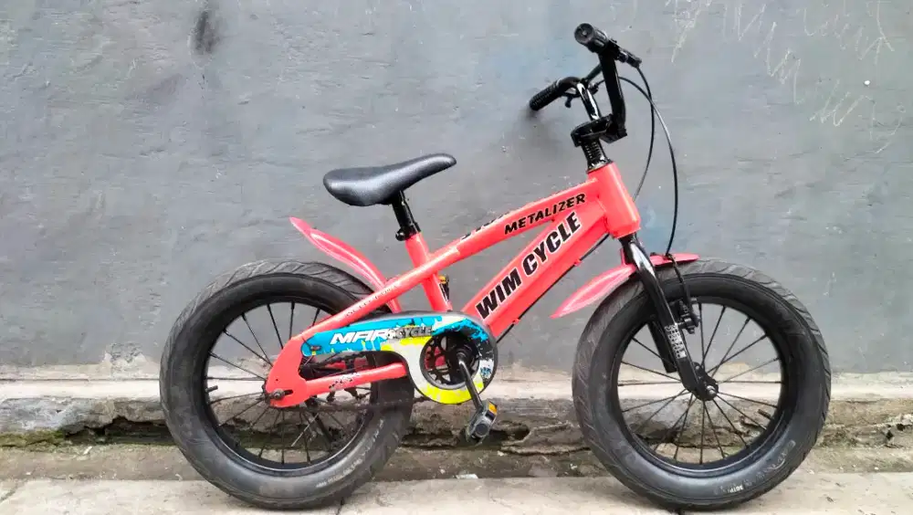 Sepeda wimcyel repaint