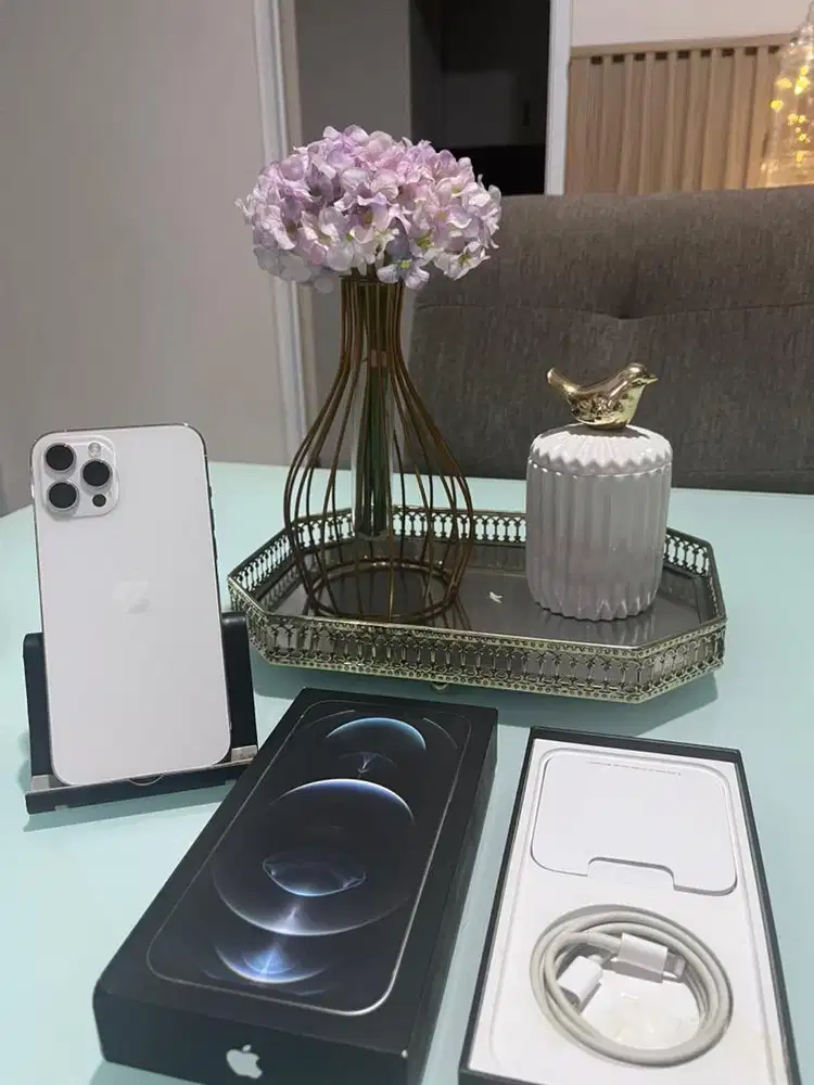 Iphone 12 ProMax (256gb) Nego