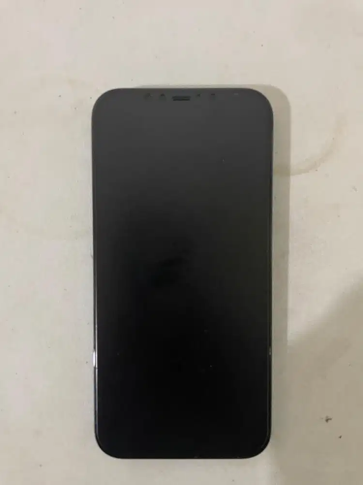 IPHONE 12 PRO MAX 256