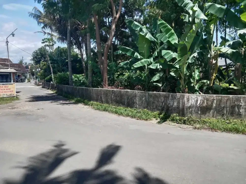 Tanah sangat strategis cocok untuk hunia. Kavling kajoran godean