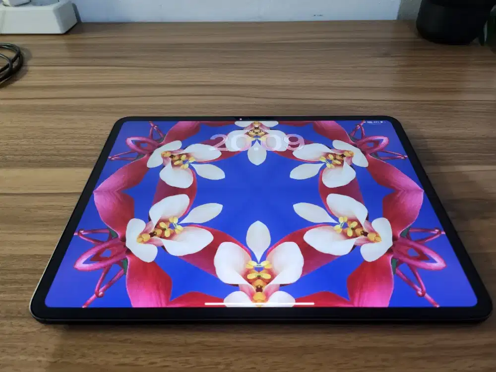 Apple iPad Pro 13 inch (M4) Wi Fi 256GB