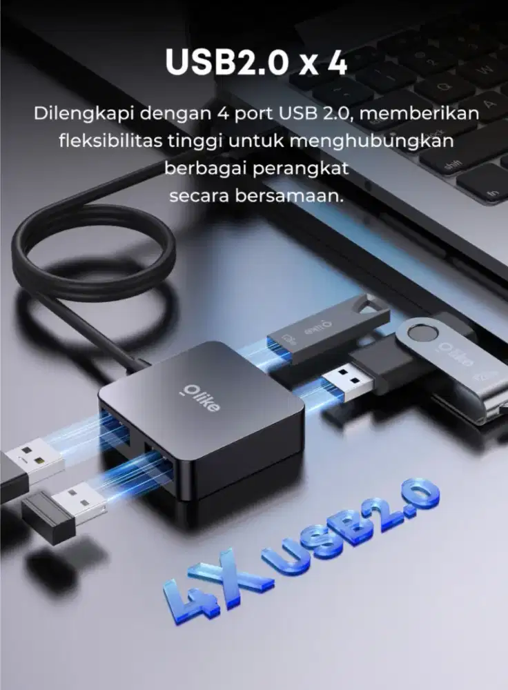 USB Hub Olike DHU03