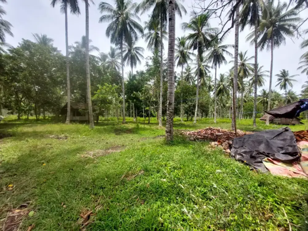 DIJUAL TANAH DI RATOTOK SATU MINAHASA TENGGARA LOKASI STRATEGIS