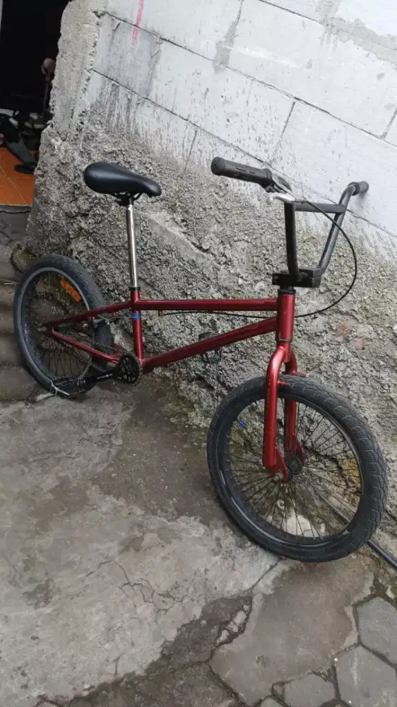 Bmx jumper full bike