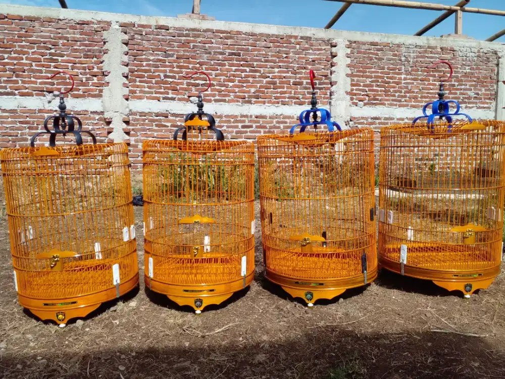 Sangkar burung kacer/jalak/poksay dll