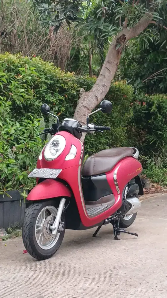 Dp 500rb Honda New Scoopy Staylish tahun 2021