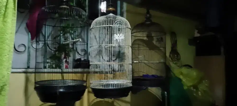 3 Kandang besi bulat