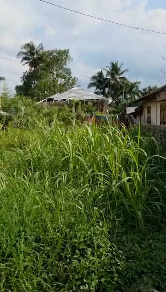 DIJUAL CEPAT !!! TANAH BAGUS UNTUK USAHA