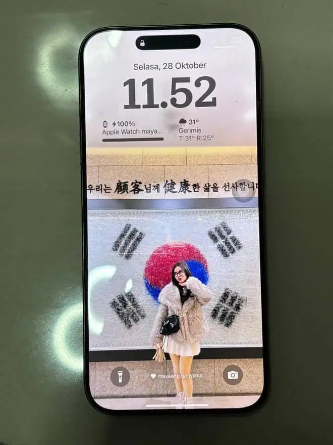 Iphone 16 promax 256GB ex IBOX