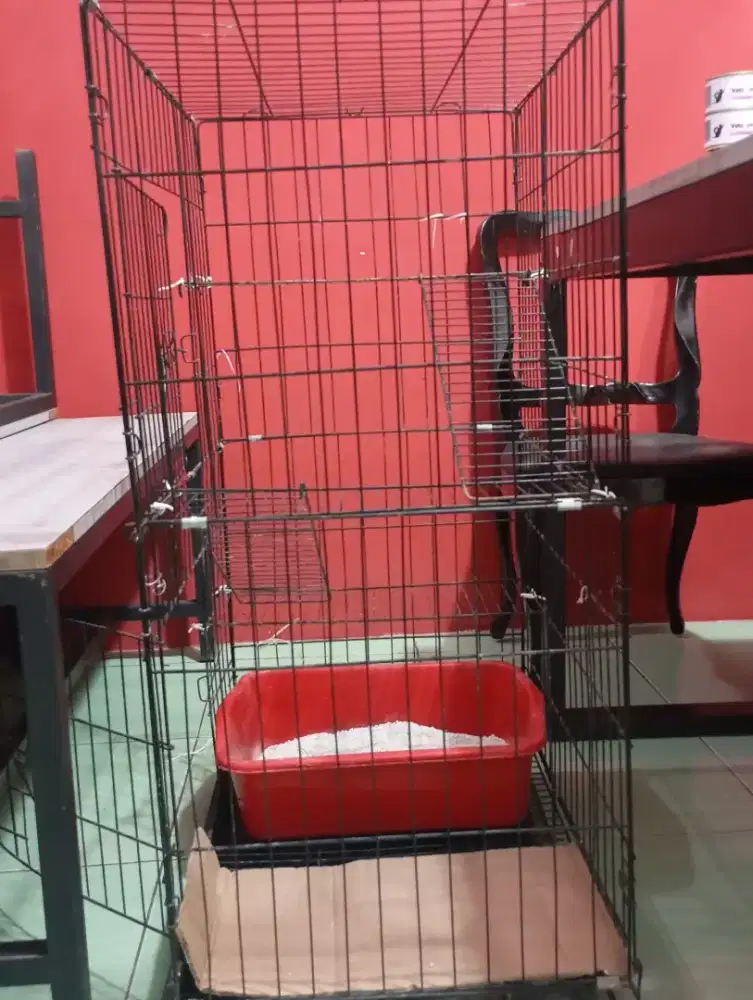 KANDANG TINGKAT + LITTLE BOX