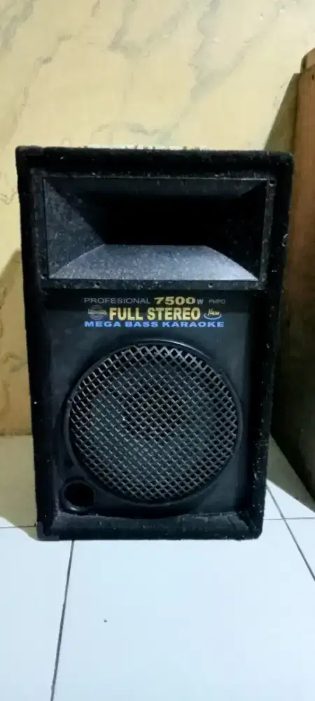 salon/speaker profesional 7500 W / PMPO