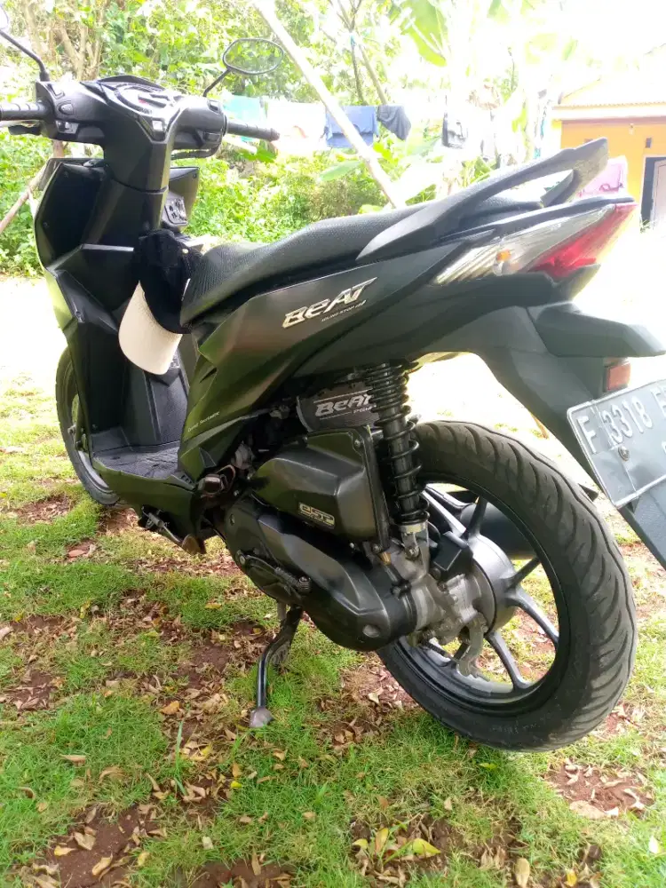 Honda beat Dulux 2021