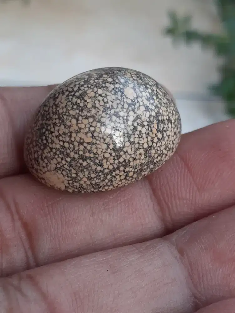 Cincin kesehatan anti wisa