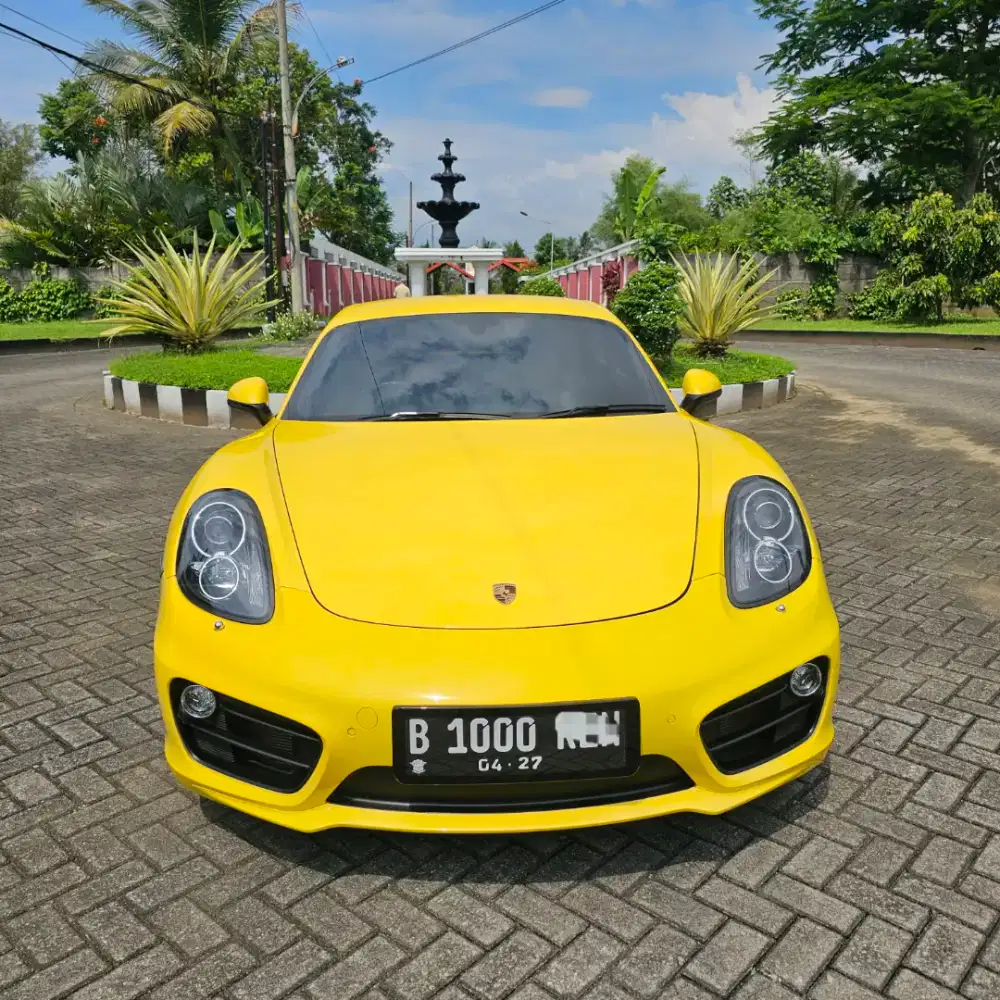 Porsche Cayman 2015