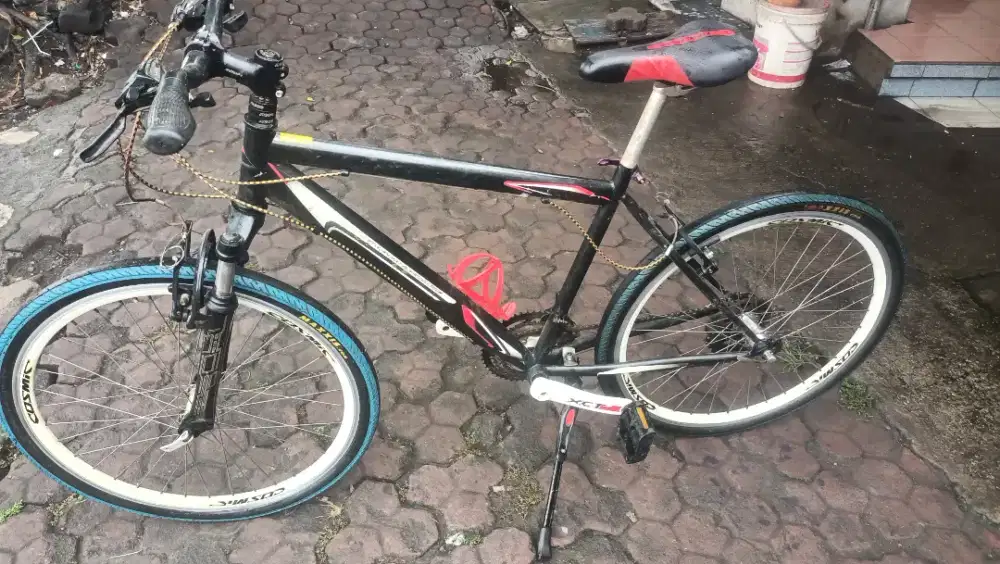 Sepeda MTB Polygon ban maxiss UK, 26