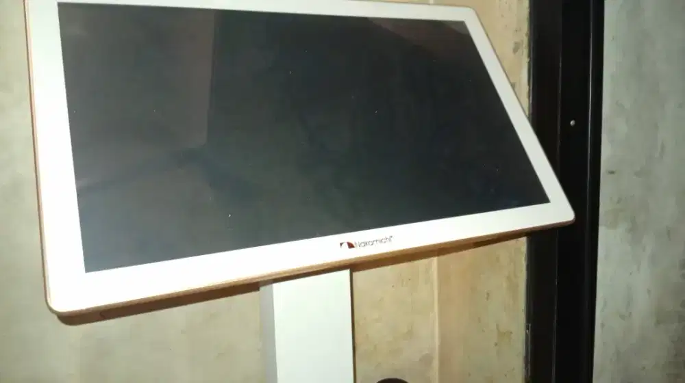 Monitor nakamici 24 in normal