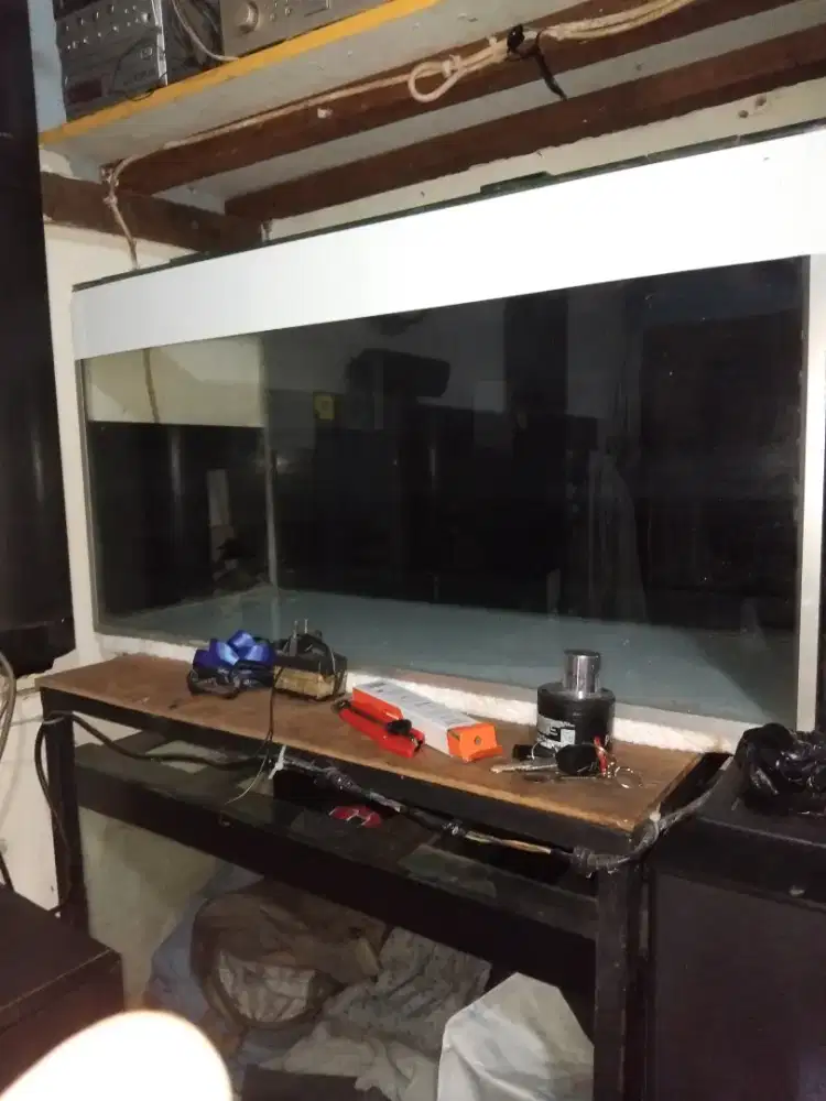 Aquarium Ikan Layak Pakai