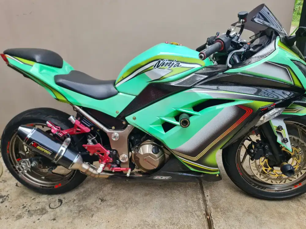 Ninja 250 FI Cakeeppp