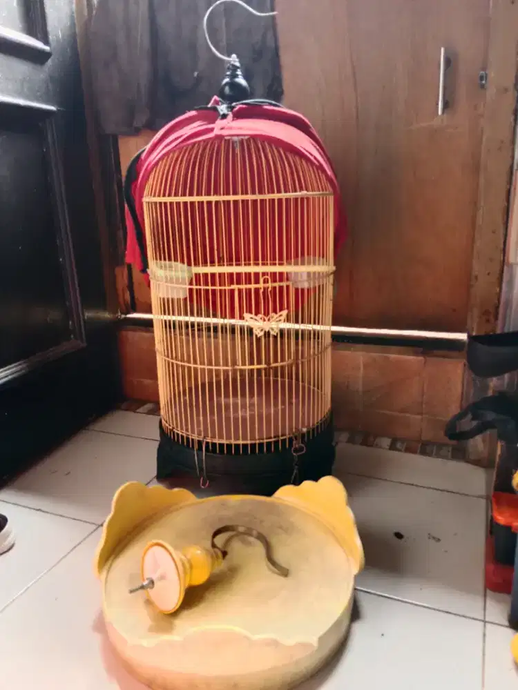 Kandang kapsul lovebird