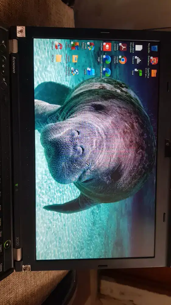 Laptop thinkpad Lenovo x230 Ram 10 win 11