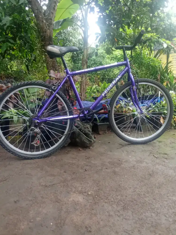 Comuter bike 26 sise 17