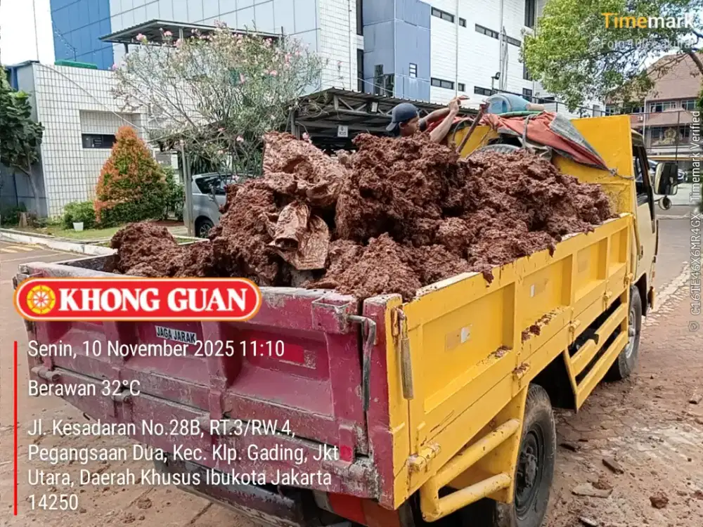 Jasa buang puing dan angkut tanah