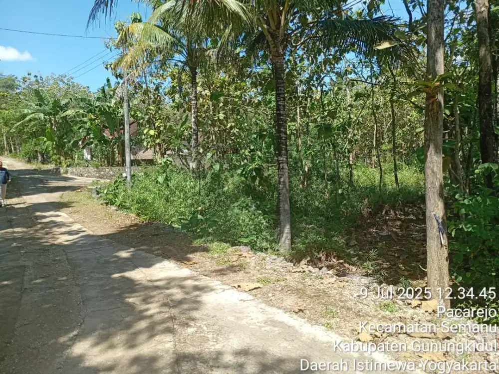 Kesempatan Emas untuk investasi tanah di Pancarejo