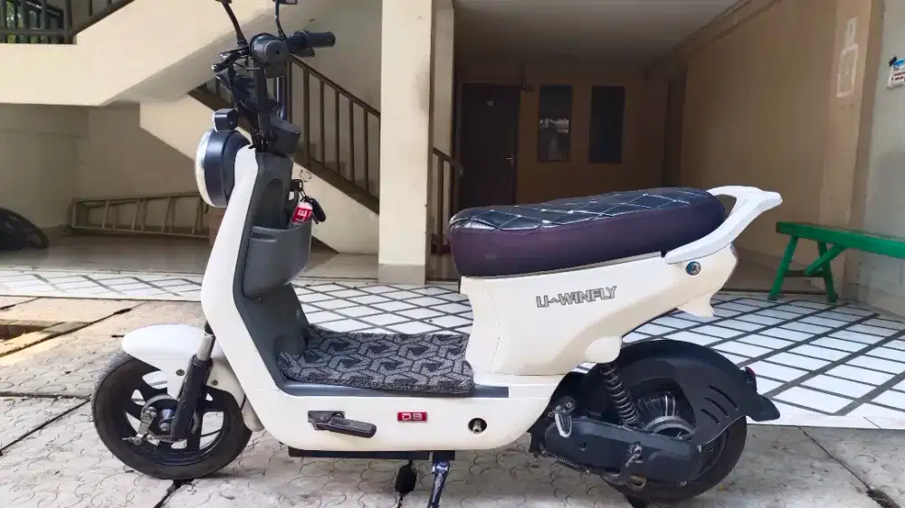 Sepeda listrik uwinfly d8