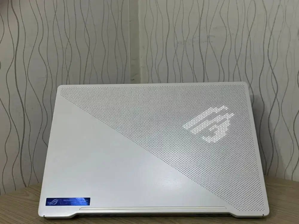 ASUS ROG ZEPHYRUS G14 GA401QE