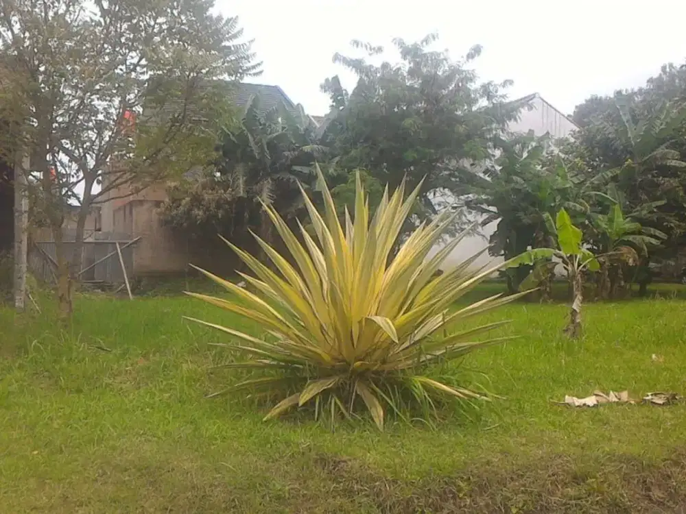 tanah kavling murah siap bangun arcamanik bandung kota