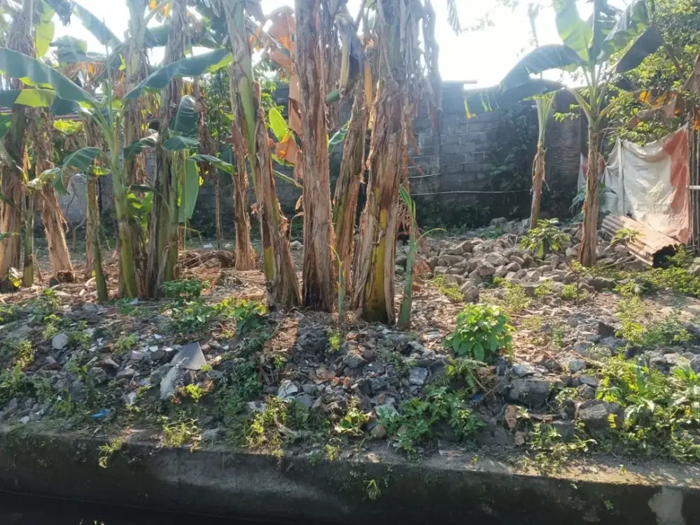 TANAH STRATEGIS MURAH DEKAT CANDI SAMBISARI KALASAN SLEMAN YOGYAKARTA