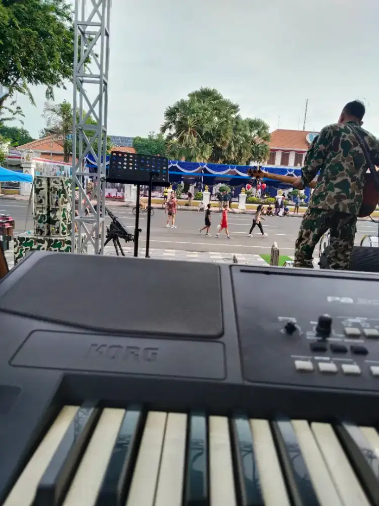 Elektun organ tunggal