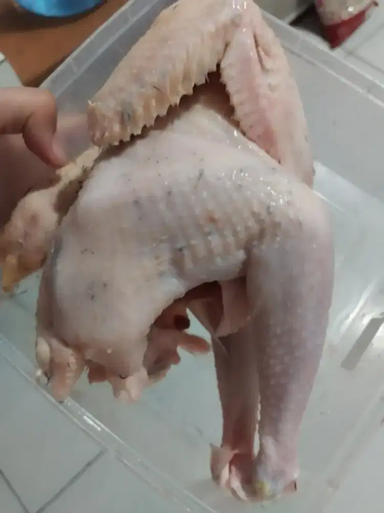 Ayam kampung karakas